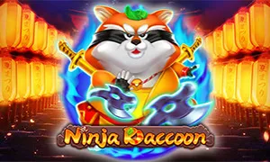 Ninja Raccoon