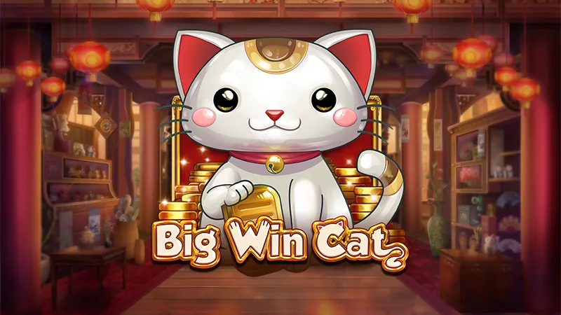 Big Win Cat