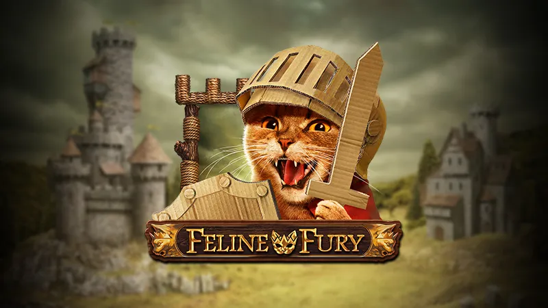 Feline Fury