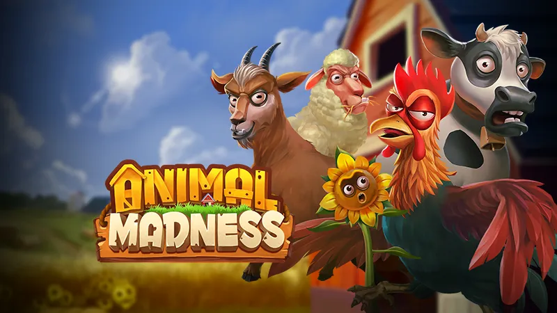 Animal Madness
