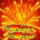 Fire Bird