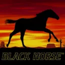 Black Horse™