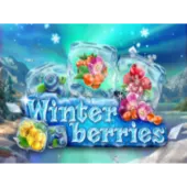 Winterberries