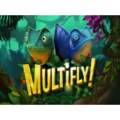 Multifly!